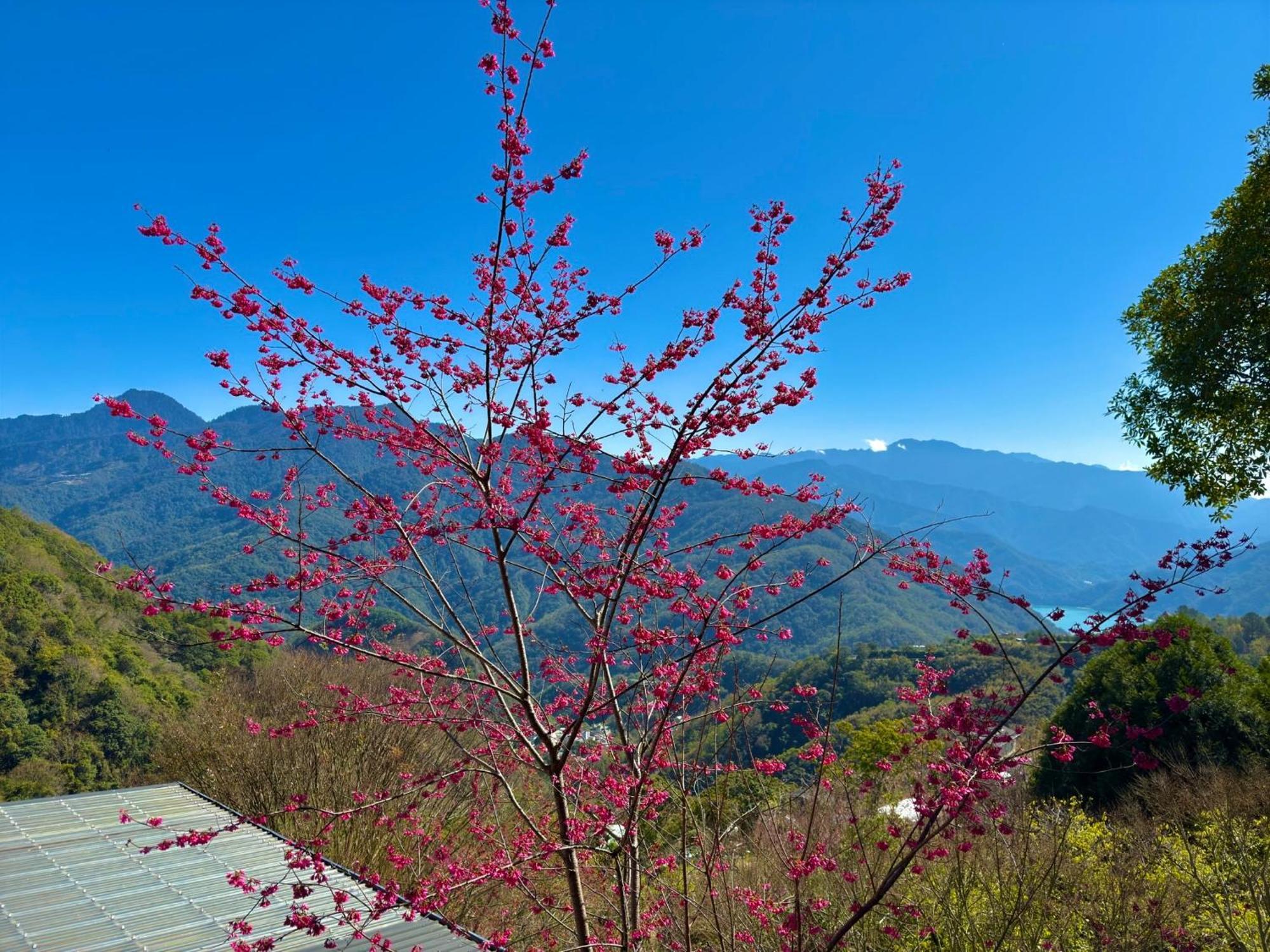 Tian Hsiang Tea B&B Renai Luaran gambar