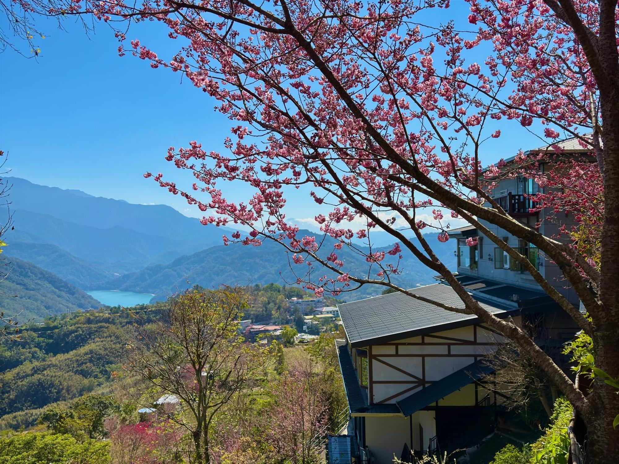 Tian Hsiang Tea B&B Renai Luaran gambar