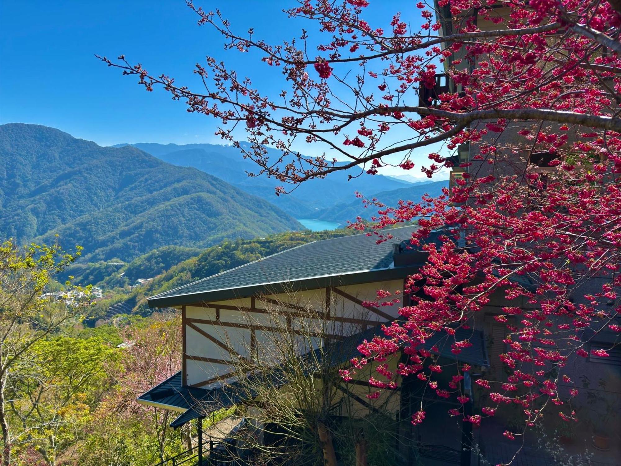 Tian Hsiang Tea B&B Renai Luaran gambar